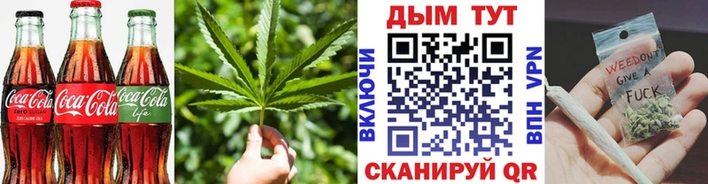 Canna-Cookies марихуана  цены   мега tor  Ядрин 