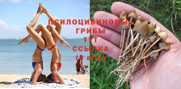 крисы Алексеевка