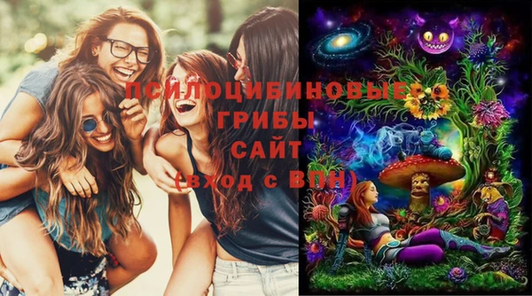 эйфоретик Алзамай