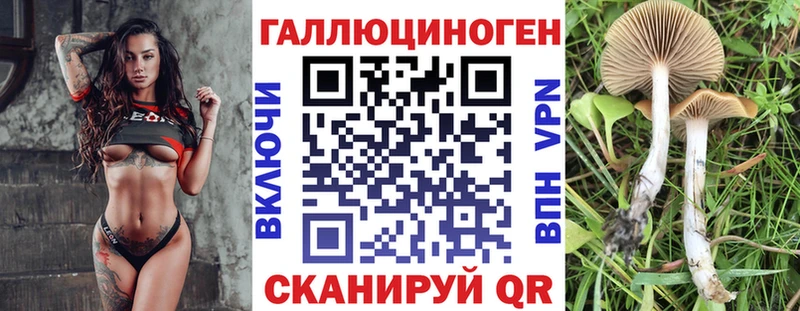 цены наркотик  Ядрин  Псилоцибиновые грибы Psilocybe 